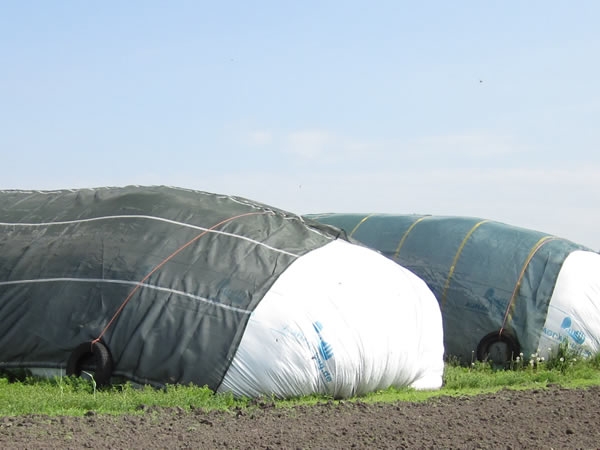 https://www.agrar-bag.de/files/media/content-image/zubehoer/vogelschutznetz/17_AGRAR-bag_Vogelschutznetze_abgedeckte_Schlaeuche.jpg